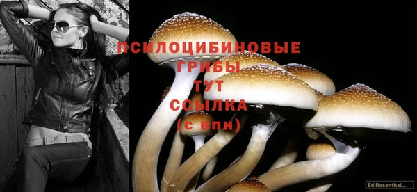 стафф Волоколамск